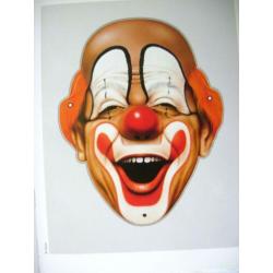 Gabi Kohwagner Kopfstand: Ein Buch über Narren und Clowns