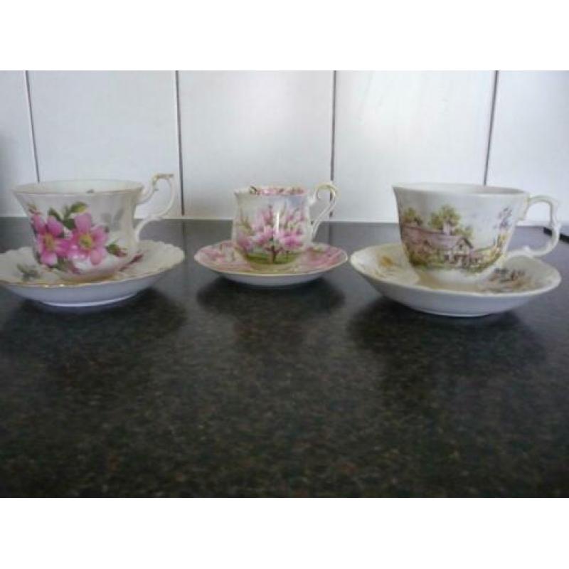 royal albert kopjes
