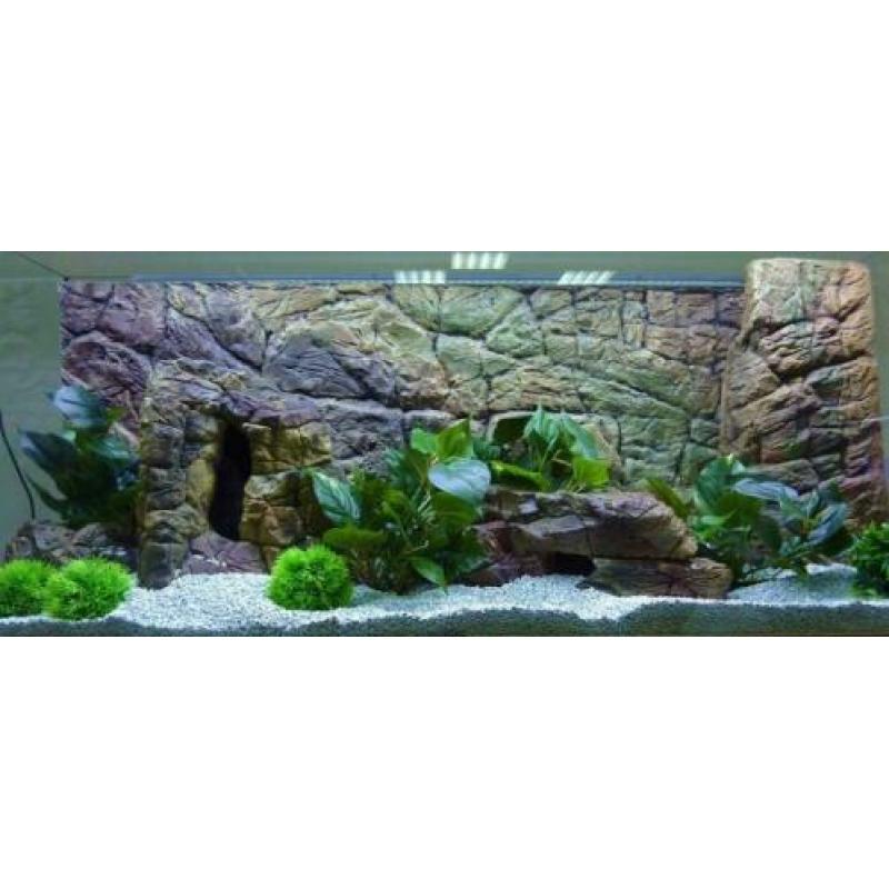 "Thin" Aquarium achterwand 100x60 (96 x 54 cm)