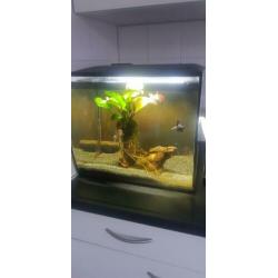 Aquarium