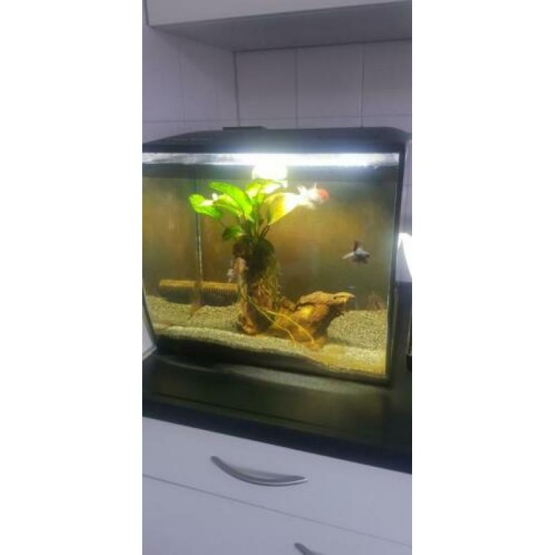 Aquarium