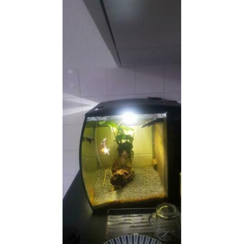 Aquarium