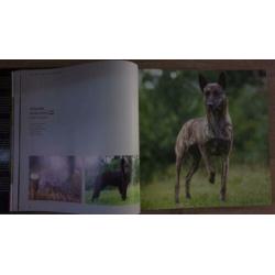NIEUW: Boek Dogs Eukanuba - hondenrassen, hond