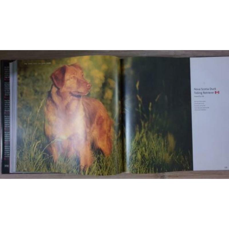 NIEUW: Boek Dogs Eukanuba - hondenrassen, hond