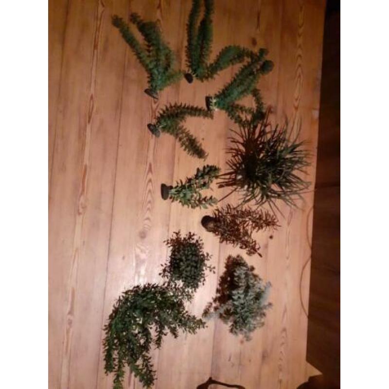 Kunst planten voor in het aquarium.