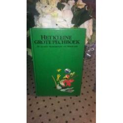 Het kleine grote pechboek