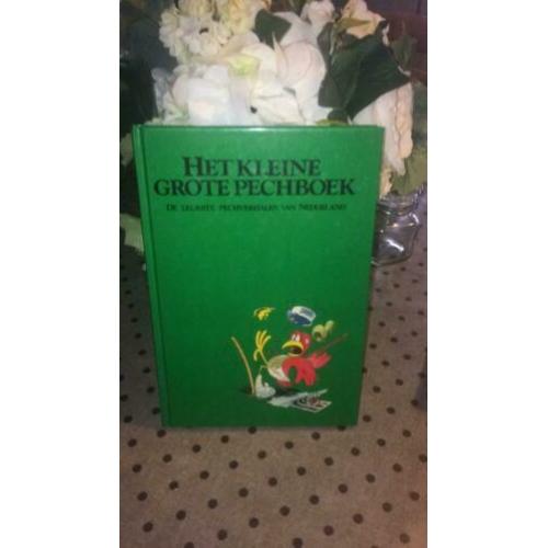 Het kleine grote pechboek