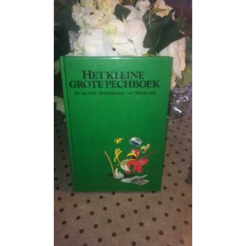 Het kleine grote pechboek