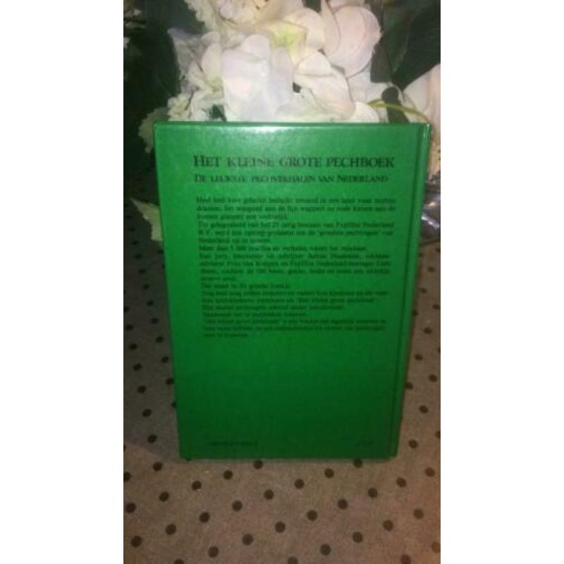 Het kleine grote pechboek