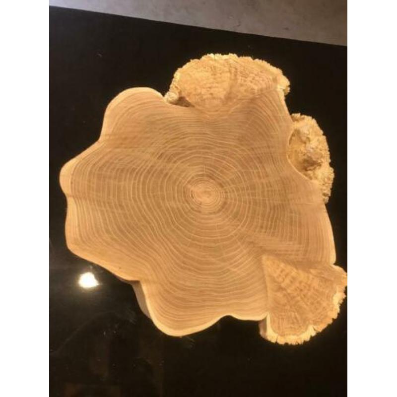Burlhout/ Design schijf/ Hout Koraal