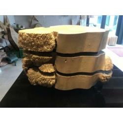 Burlhout/ Design schijf/ Hout Koraal