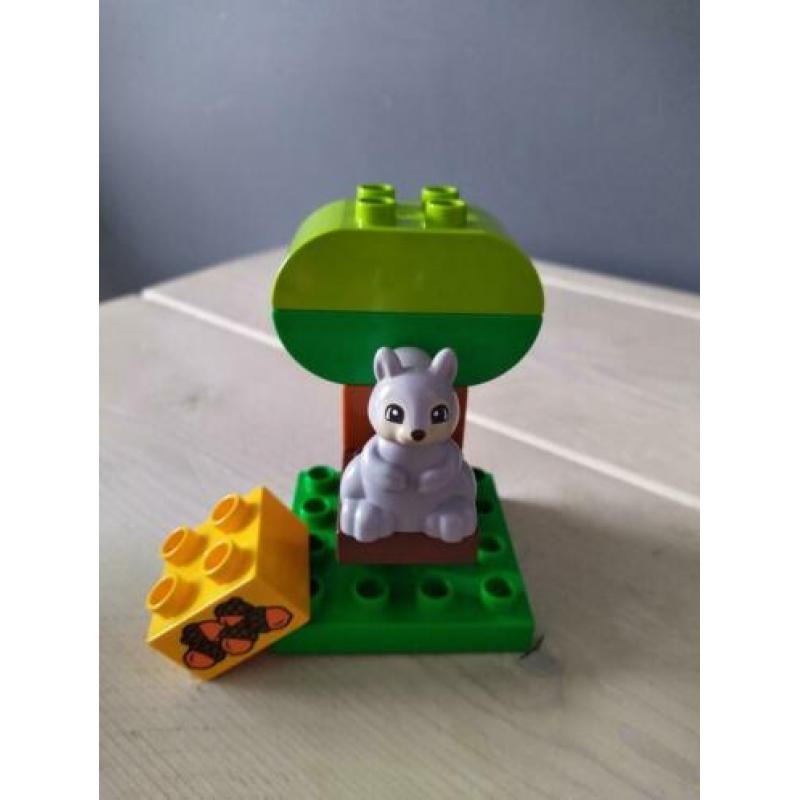 Duplo verjaardags picknick - 10832