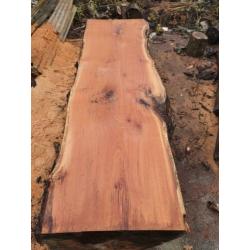 Eiken schaaldelen boomstam plank