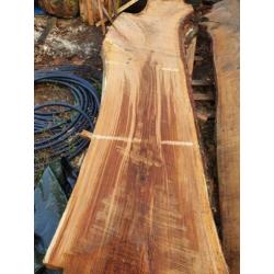 Eiken schaaldelen boomstam plank