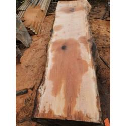 Eiken schaaldelen boomstam plank