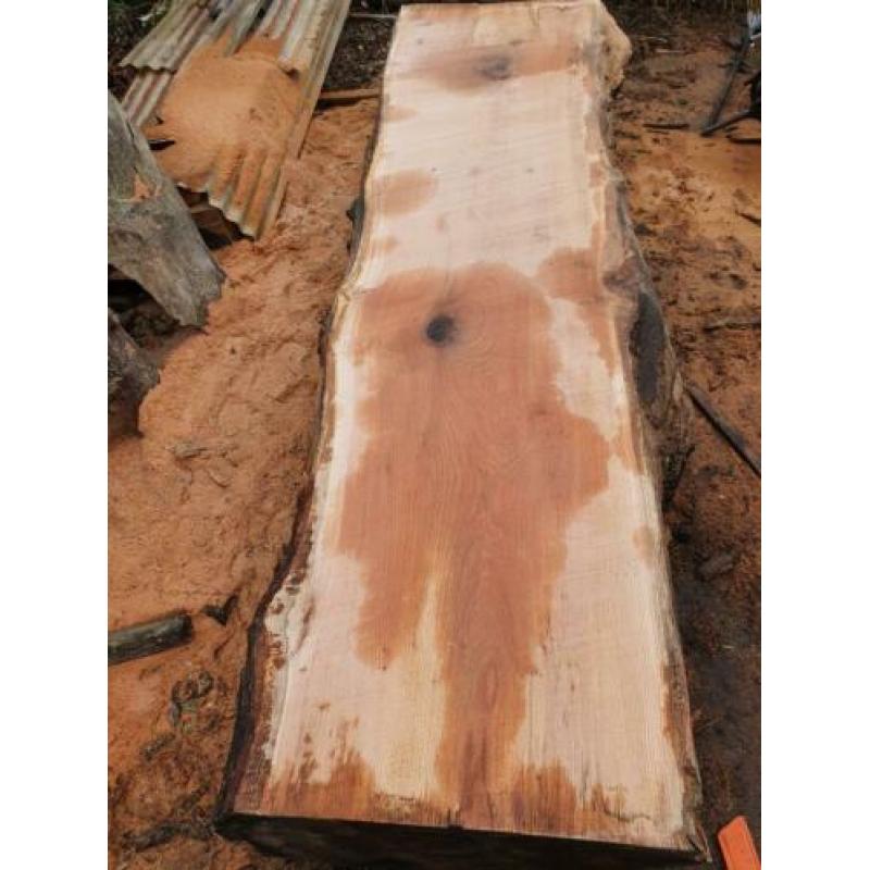 Eiken schaaldelen boomstam plank