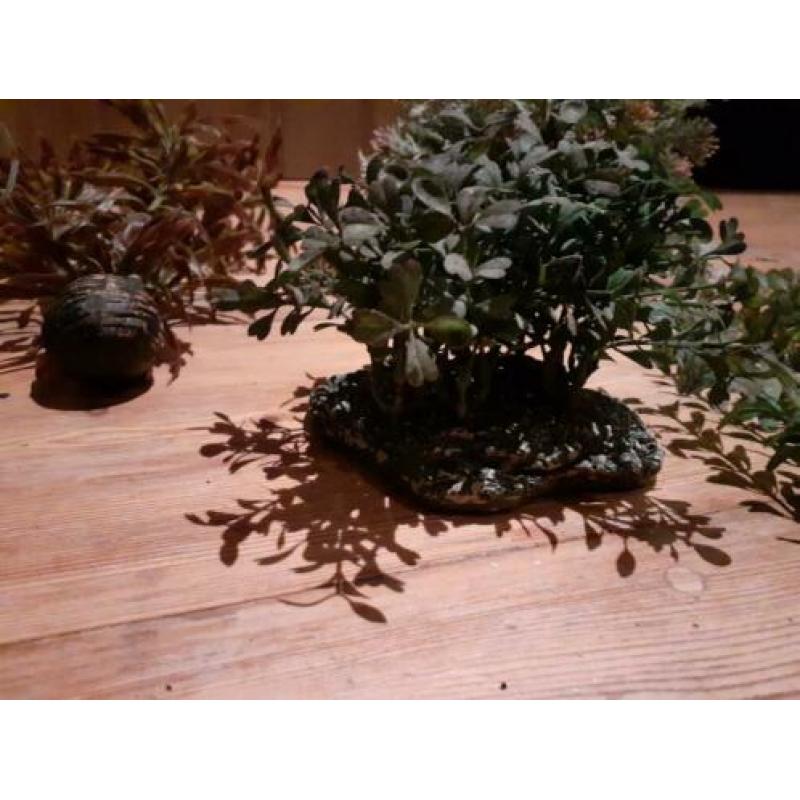 Kunst planten voor in het aquarium.