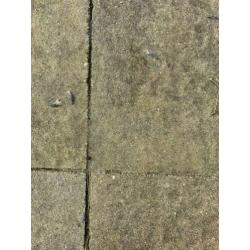 Betontegels terrastegels natuursteen look 60x60+andere) 25m2