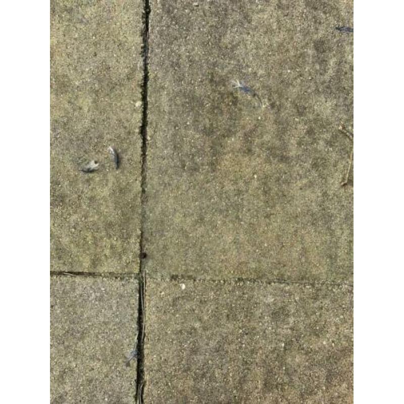 Betontegels terrastegels natuursteen look 60x60+andere) 25m2