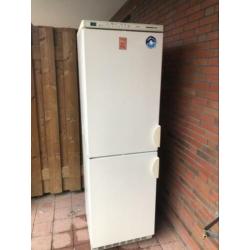 Grote Koel/vries combinatie Liebherr