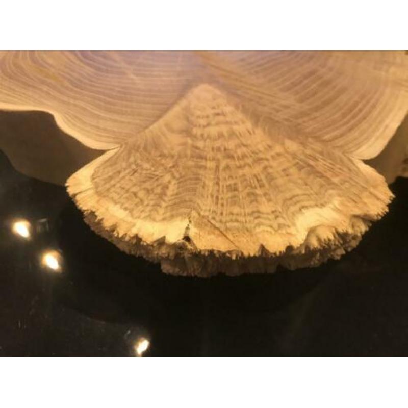 Burlhout/ Design schijf/ Hout Koraal