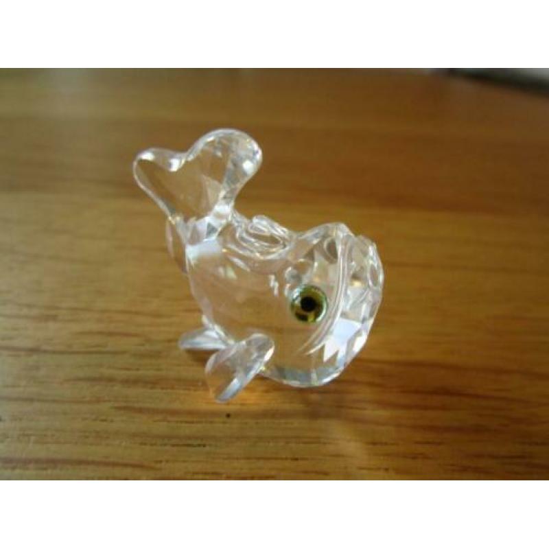 Te koop van Swarovski de Karper Baby