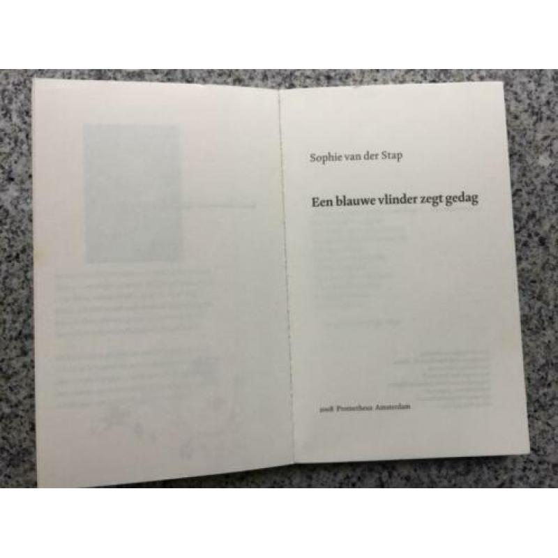 Een blauwe vlinder zegt gedag (Sophie van der Stap)
