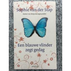 Een blauwe vlinder zegt gedag (Sophie van der Stap)