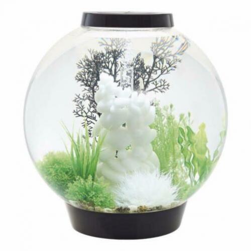 biOrb CLASSIC | 60 MCR | Zwart