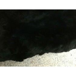 retro bontcape