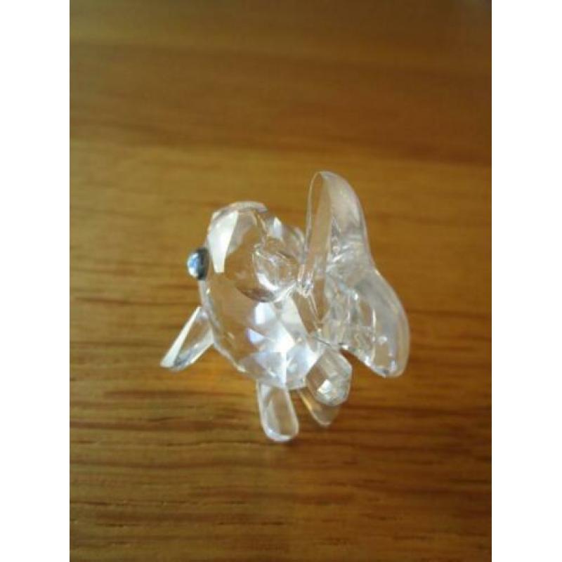 Te koop van Swarovski de Karper Baby