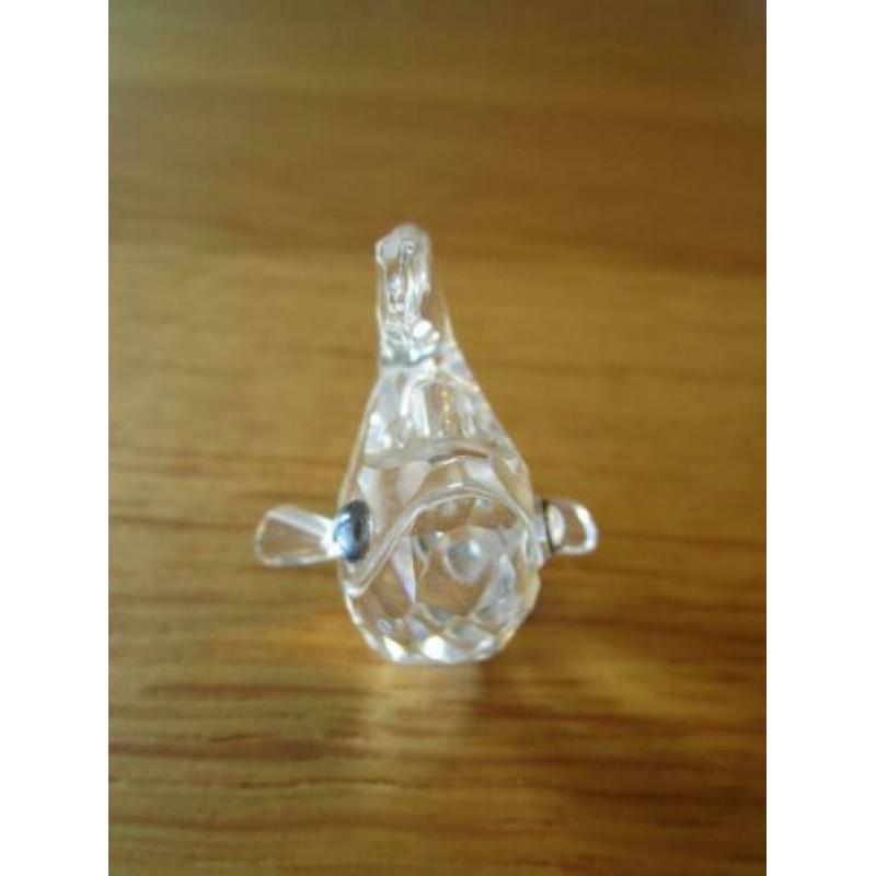 Te koop van Swarovski de Karper Baby