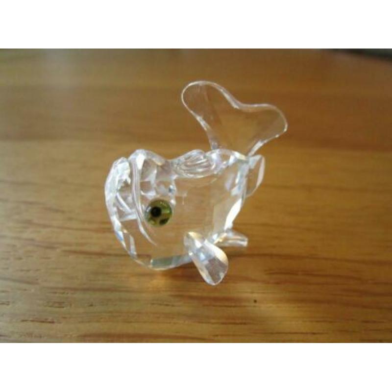 Te koop van Swarovski de Karper Baby