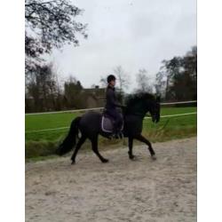 Bijrijder aangeboden