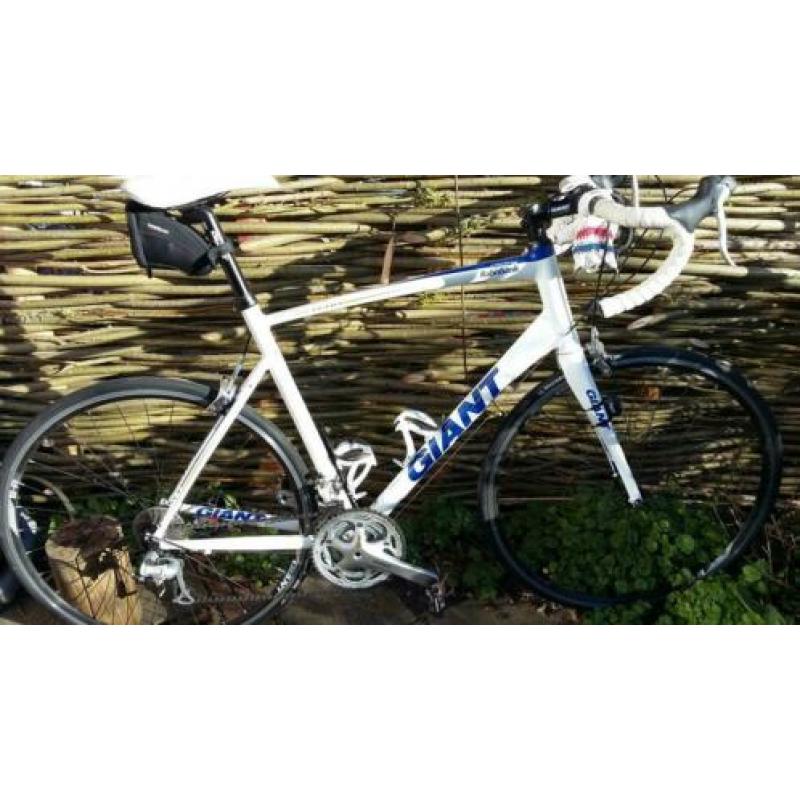 Giant Defy XL (60) zeer goede staat.