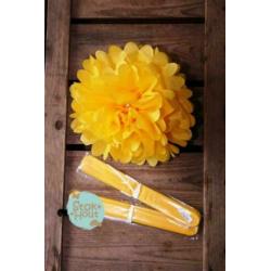 Mooie Papieren pompons 25cm, diverse kleuren | Stokhout 64