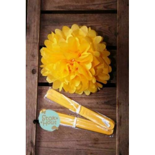 Mooie Papieren pompons 25cm, diverse kleuren | Stokhout 64