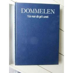 Dommelen, ’t is mer dè ge’t weet, projectgroep Dommelen