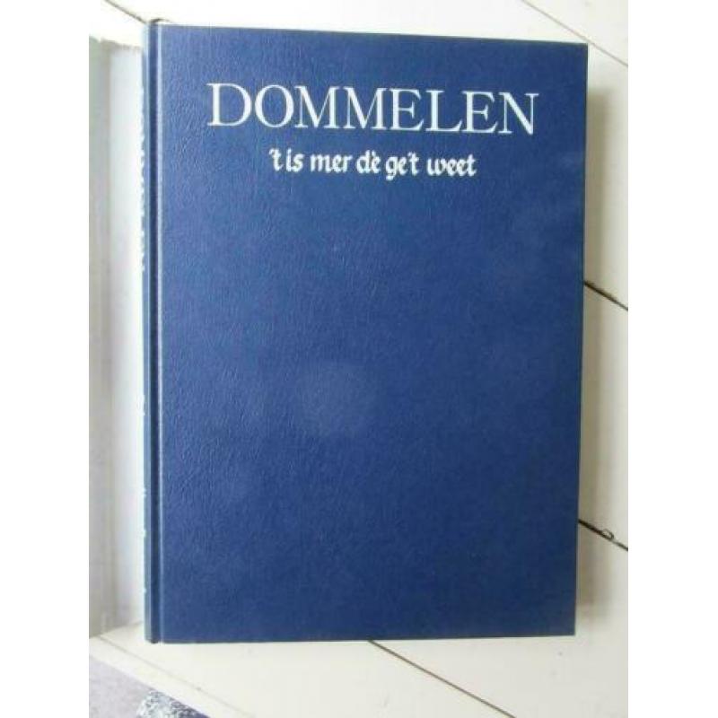 Dommelen, ’t is mer dè ge’t weet, projectgroep Dommelen