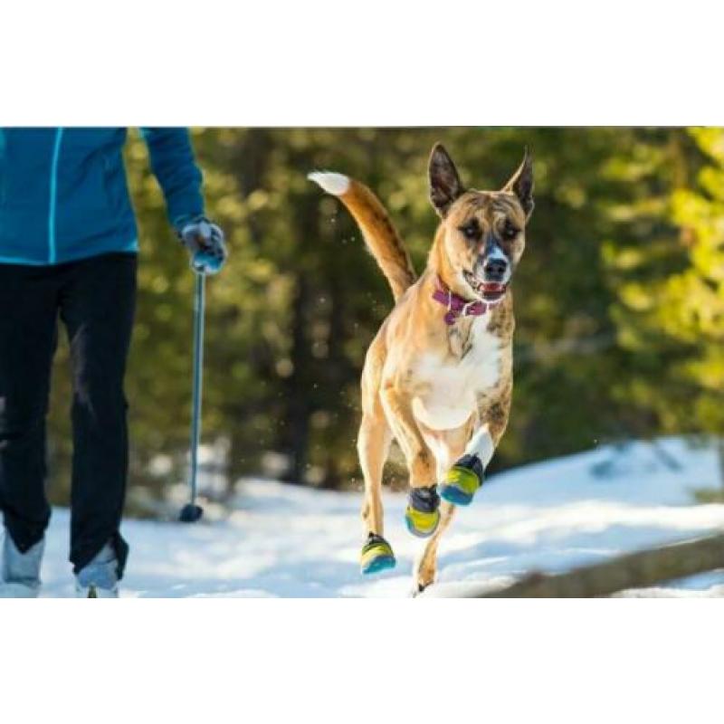Ruffwear polar Trex hondenschoenen