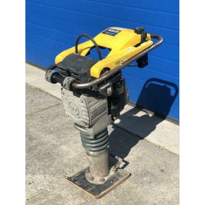 Wacker BS 50-2 stamper