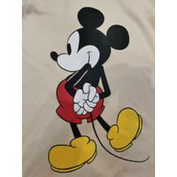 Gucci x Disney Trui Collectie 2020