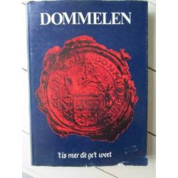 Dommelen, ’t is mer dè ge’t weet, projectgroep Dommelen
