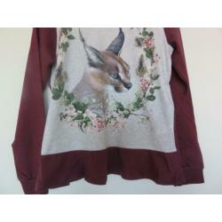 Molo shirt longsleeve Caracal maat 152