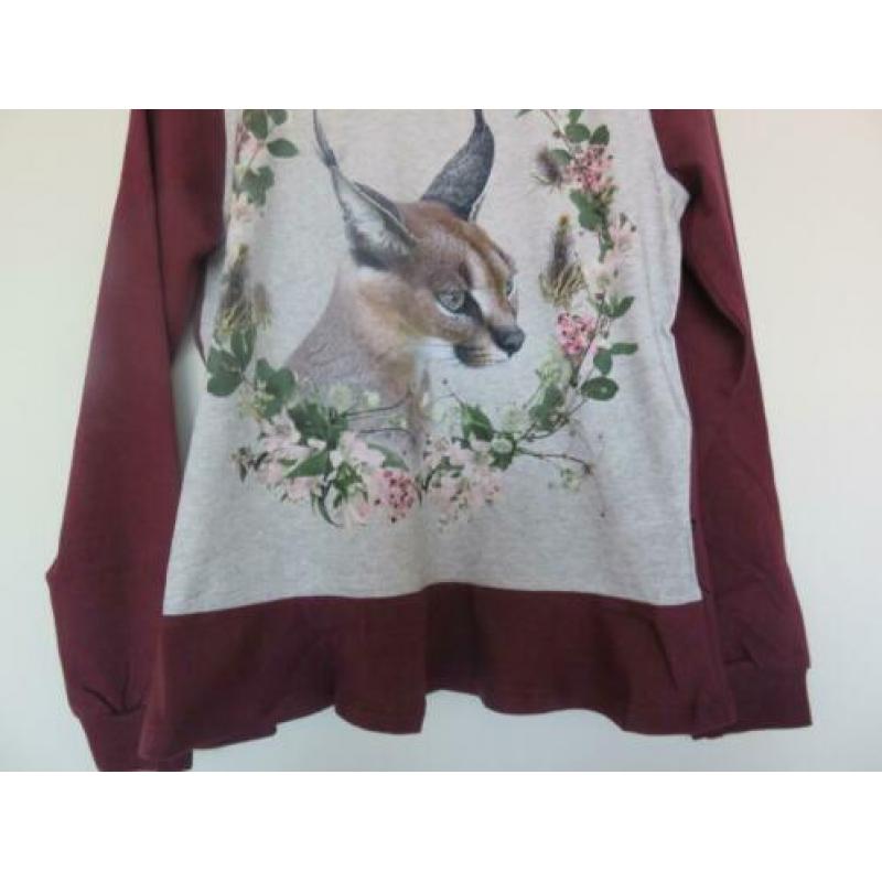 Molo shirt longsleeve Caracal maat 152