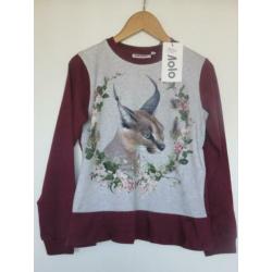 Molo shirt longsleeve Caracal maat 152