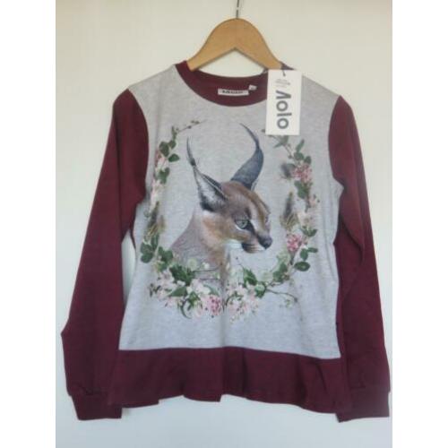 Molo shirt longsleeve Caracal maat 152