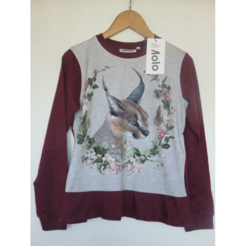 Molo shirt longsleeve Caracal maat 152
