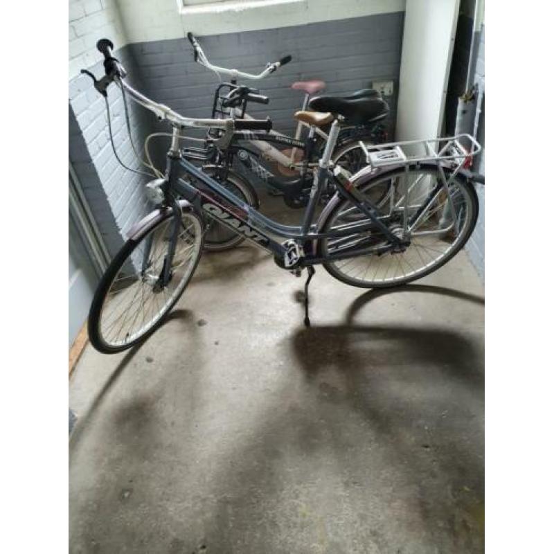 Mooie universele GIANT fiets