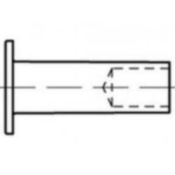 25 ST ROOD KOPEREN ( GEHARDE ) HOLLE KLINKNAGELS, o.a 4x8 mm